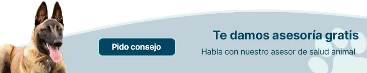 Hablar con un asesor