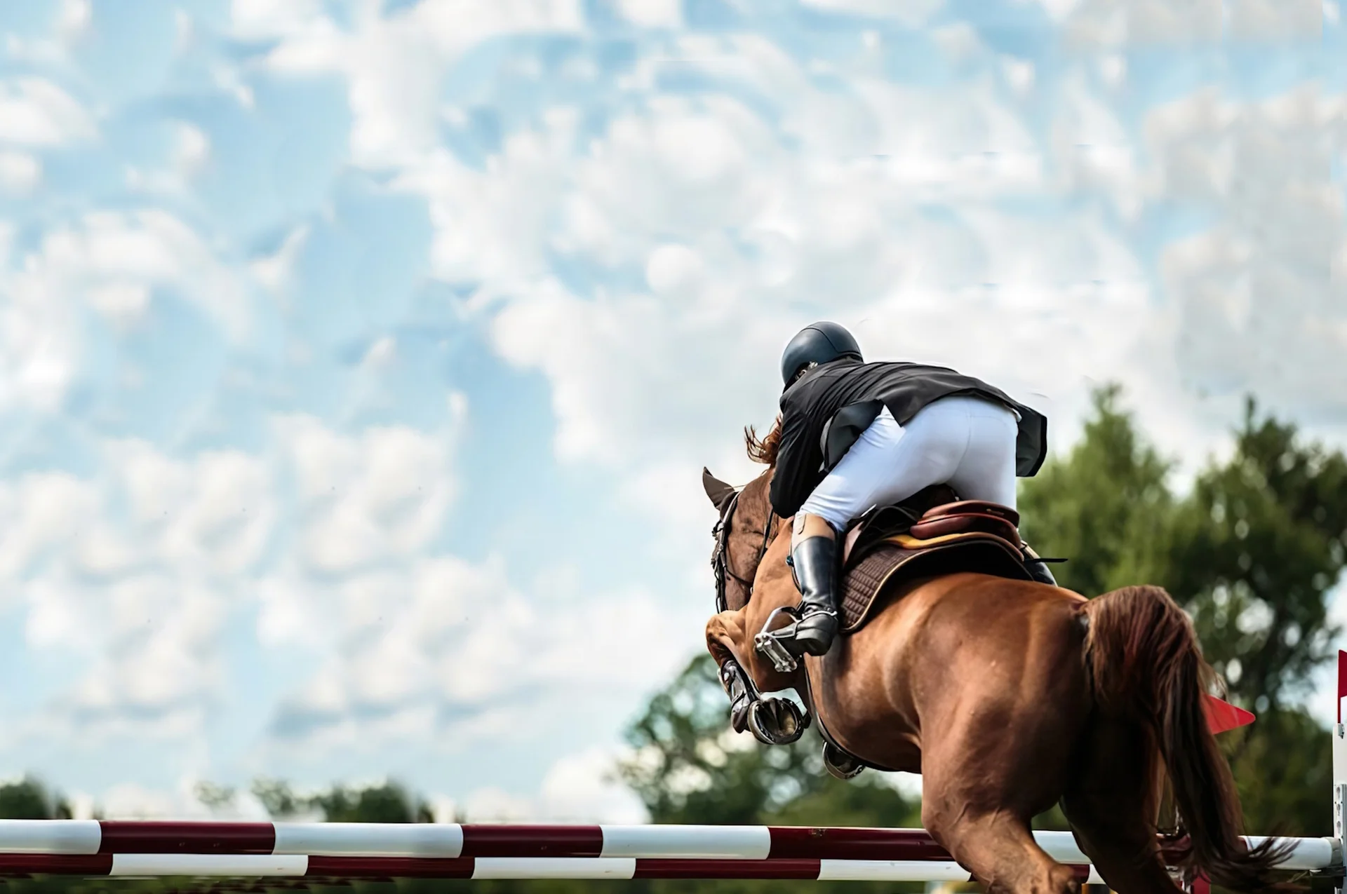 Suplementos naturales para caballos