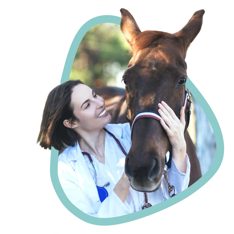 Asesoramiento personalizado y gratuito en salud animal