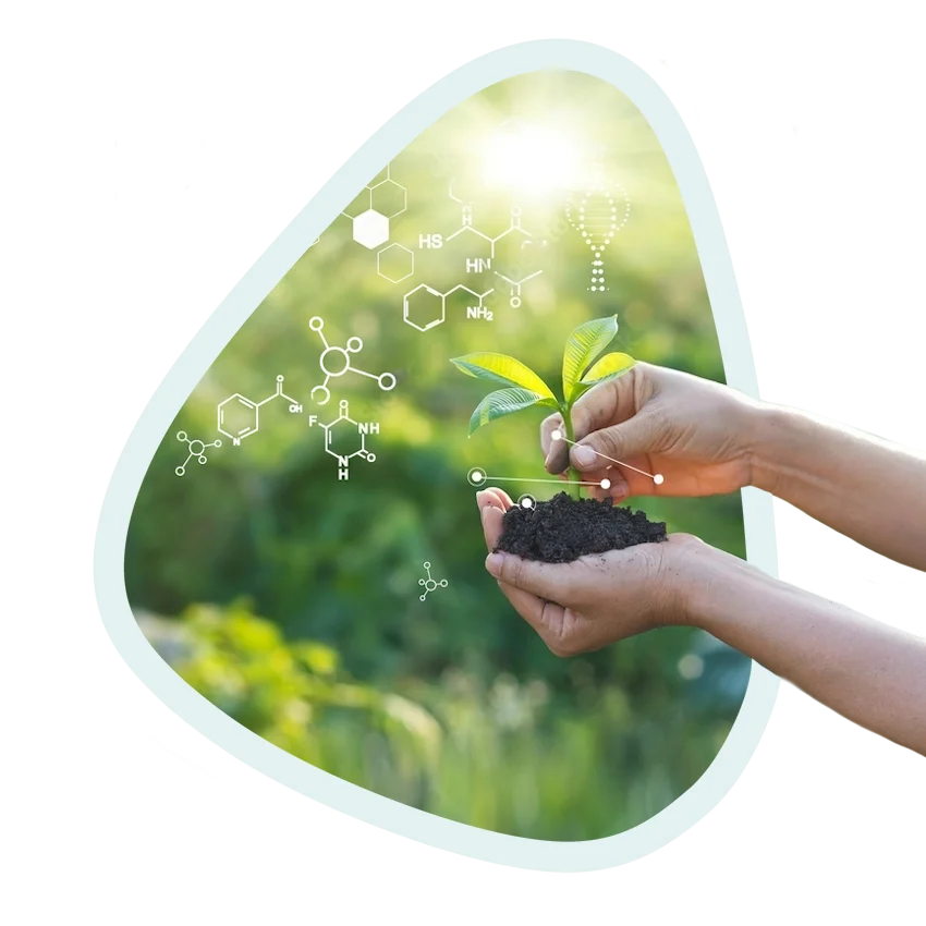 Formulación vegetal natural