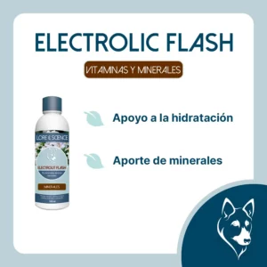 Objetivo del suplemento Electrolic Flash Dog