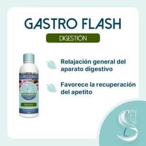 Objetivo del suplemento Gastro Flash