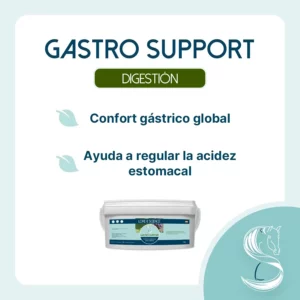 Objetivo del suplemento Gastro Support