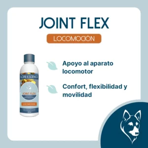 Objetivo del suplemento Joint Flex Dog