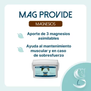 Objetivo del suplemento Mag Provide