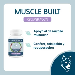 Objetivo del suplemento Muscle Built Dog
