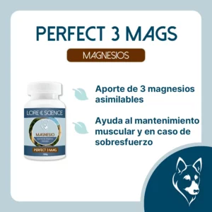 Objetivo del suplemento Perfect 3 Mags