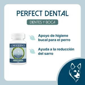 Objetivo del suplemento Perfect Dental