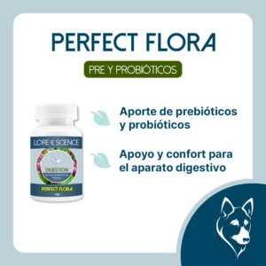 Objetivo del suplemento Perfect Flora