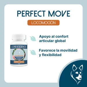 Objetivo del suplemento Perfect Move