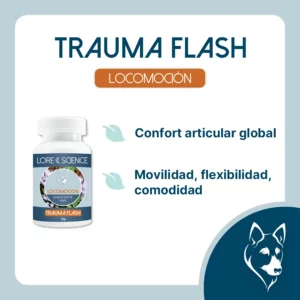 Objetivo del suplemento Traum Flash