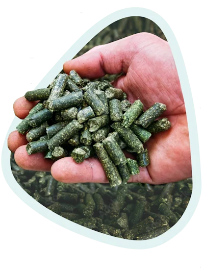 Formulación de calidad vegetal y 100% natural