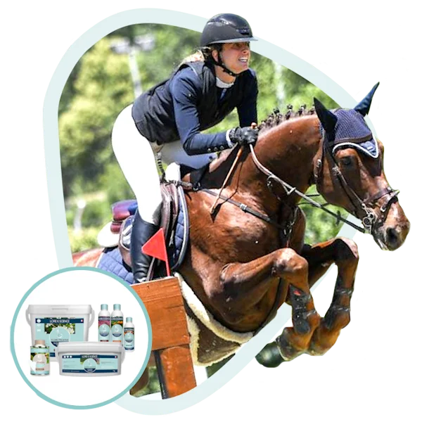 Suplementos natural par la salud y el rendimiento del caballos