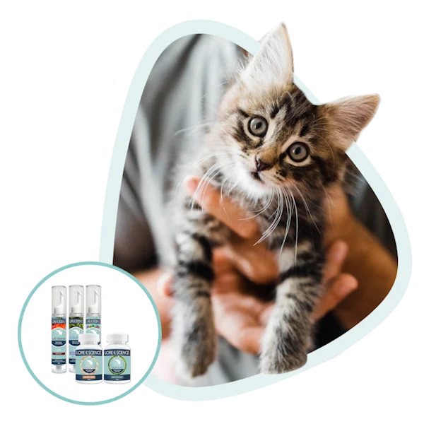 Suplementos natural para la salud del gatos