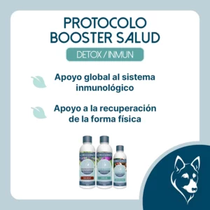 Objetico del protocolo Booster Salud para perros
