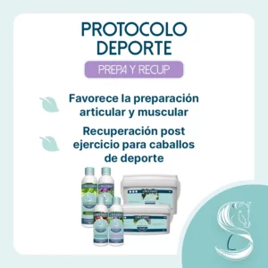 Objetico del protocolo Deporte para caballos