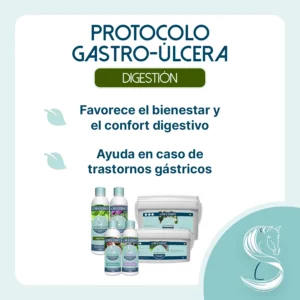 Objetico del protocolo Gastro Úlcera para caballos