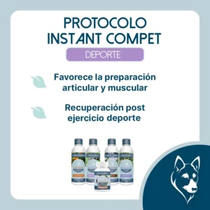 Objetico del protocolo Instant Compet para perros
