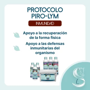 Objetico del protocolo Piro Lyme para caballos
