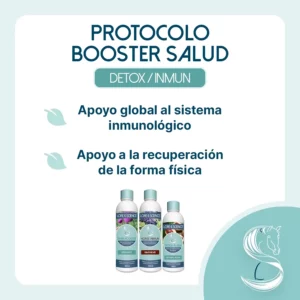 Objetico del protocolo Booster Salud para caballos