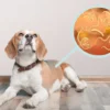 Parásitos en perros: prevención natural y desparasitación