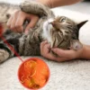 Parásitos intestinales en gatos: cómo eliminarlos de forma natural