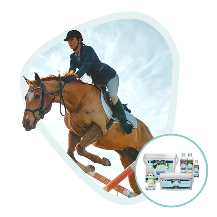 Alimentos complementarios par caballos