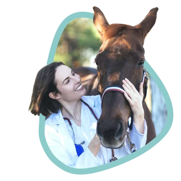 Asesoramiento personalizado y gratuito en salud animal